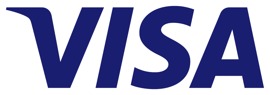 payment option logo -- visa